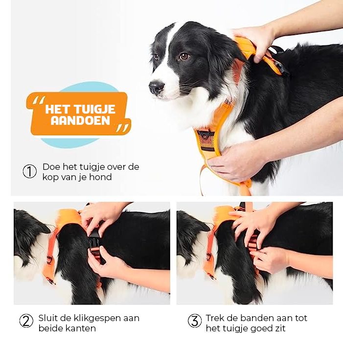 All-in-One Honden Tuigje en Riem