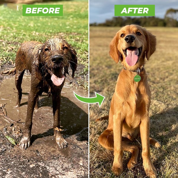 CleanPup Hondenwasser