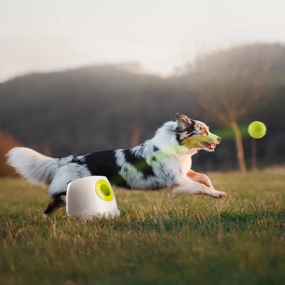 Tennisbal Lanceerder voor Honden