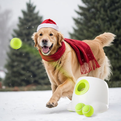 Tennisbal Lanceerder voor Honden