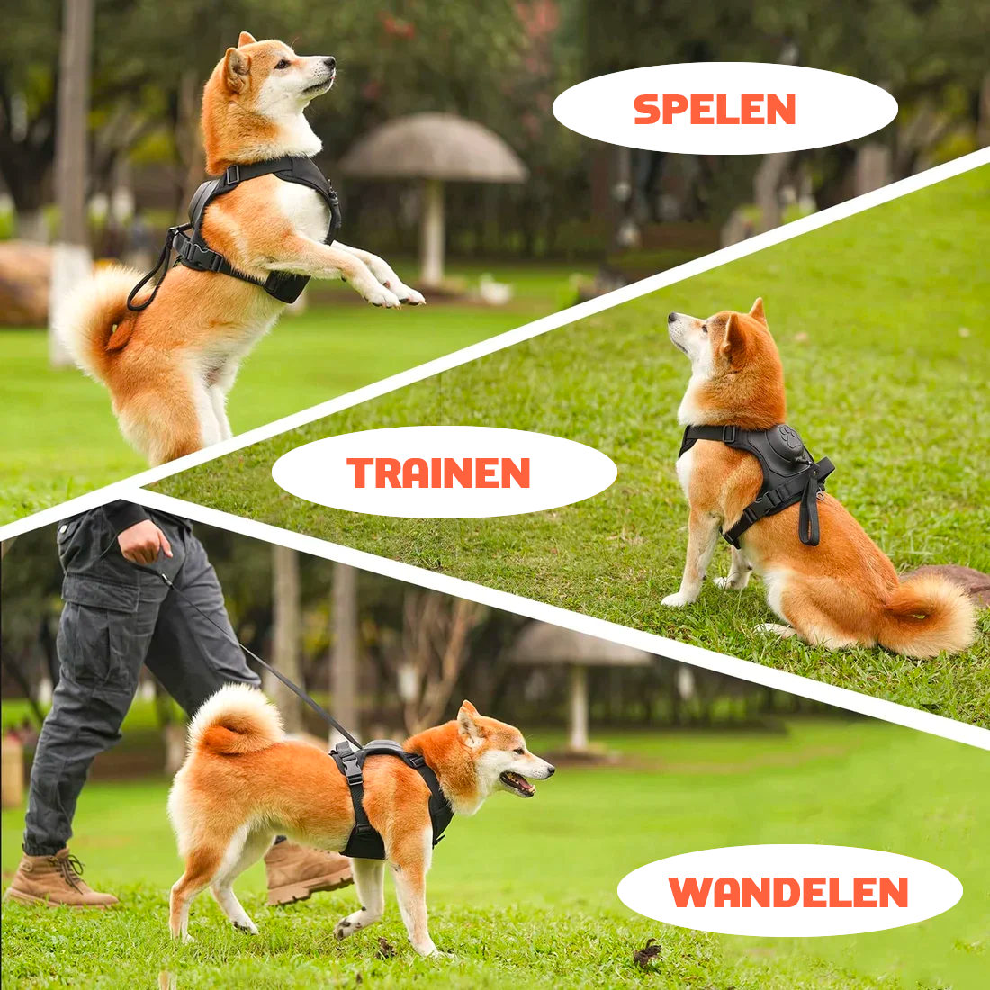 All-in-One Honden Tuigje en Riem